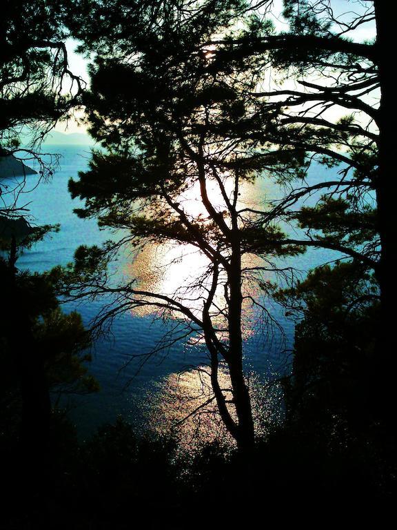 Μαγδαληνή Ξενοδοχείο Βότση Εξωτερικό φωτογραφία